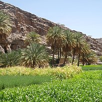 Rundreise Oman - Northern Oman