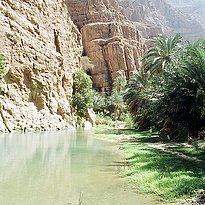 Rundreise Oman - Oman's Fascinating Nature