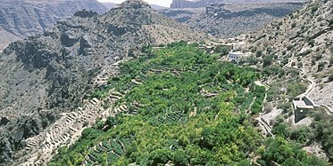 Rundreise Oman's Fascinating Nature