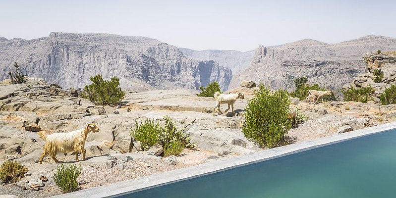 Cliff Pool Villa - Anantara Jabal Akhdar Resort